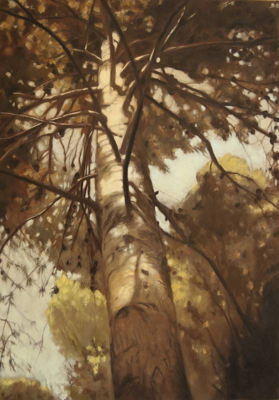Obra Bosque perdido - Pintura - Serie Natura - Artista pintor Antonio Morales Prats