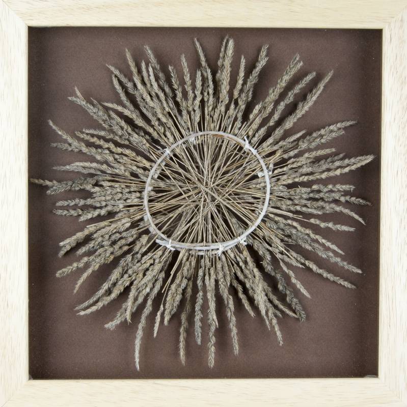 Obra Cyclus II - Artista Antonio Morales Prats - Proyecto Kryptos Natura > Plantae