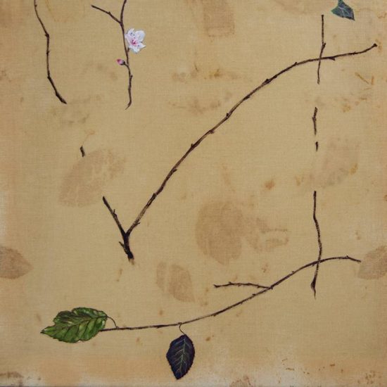Obra Prunus cerasifera - Pintura - Pintor Antonio Morales Prats - Proyecto Kryptos Natura Stationalis