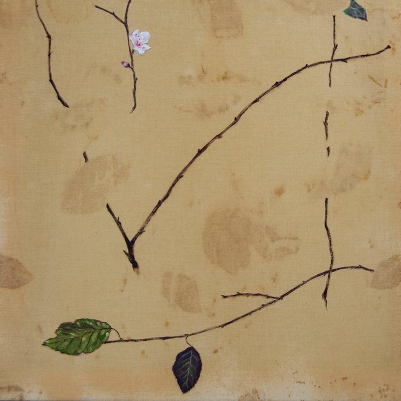 Obra Prunus cerasifera - Pintura - Pintor Antonio Morales Prats - Proyecto Kryptos Natura Stationalis